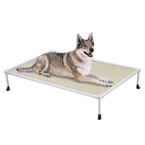 Tucker Murphy Pet™ Tucker Murphy Elevated Bed Chewproof Cooling Raised